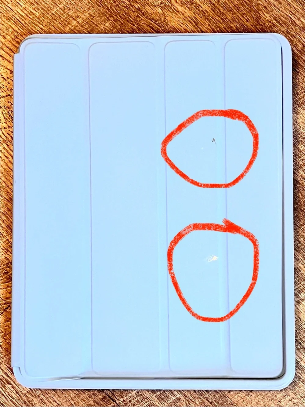 Apple genuine ipad